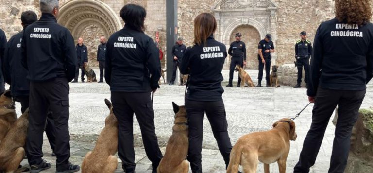 perros