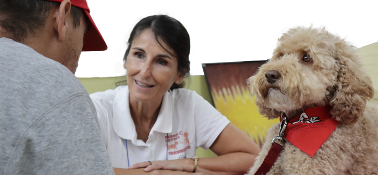 perros